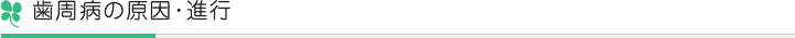 歯周病の原因・進行